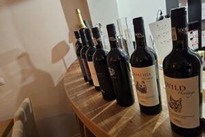 1000 de chipuri winery