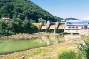 Acte Auto si Asigurări Neamt