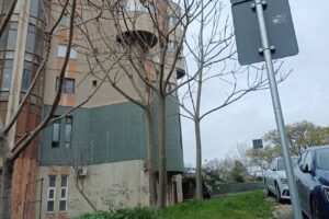 Activitatea De Trezorerie Şi Contabilitate Publică Constanţa