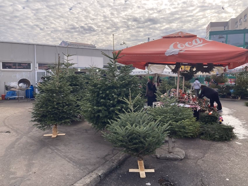 Adm Business Innovation