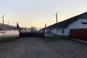 Agrii Sagna fosta Comfert Sagna