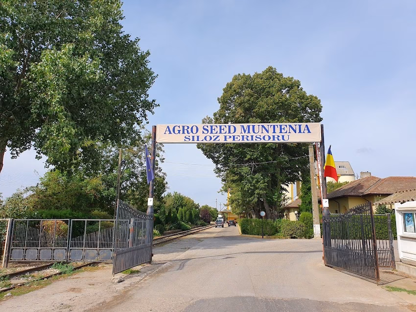 Agro Seed Muntenia