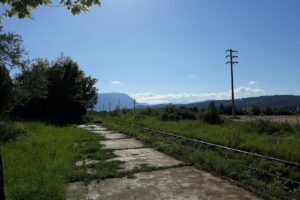 Agroindustriala Râsnov Sa