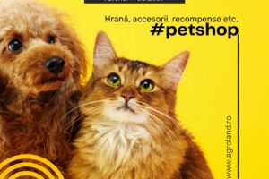 Agroland CartojaniRoata de Jos