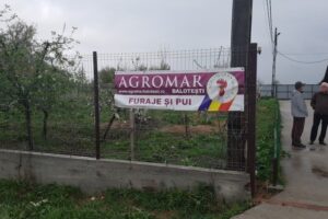 Agromar Balotesti Baldana