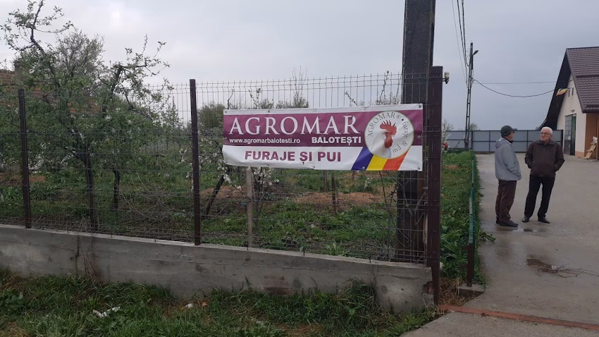 Agromar Balotesti Baldana