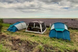 Agroprovens Baraganu