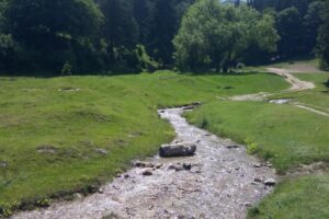 Aja Registrars Romania