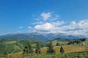 Amfiteatrul Transilvania