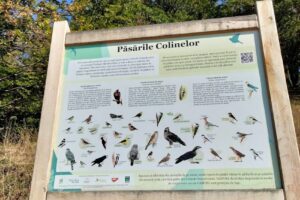 Angofa Wildlife Centre