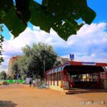 Apărătorii Patriei