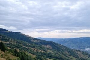 Apia Centrul local Rodna