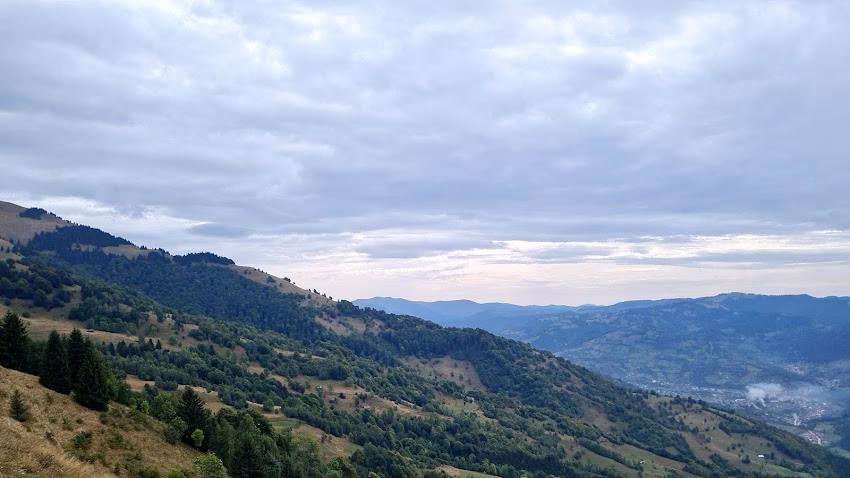 Apia Centrul local Rodna