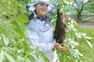 ApiMoț miere din Romuli