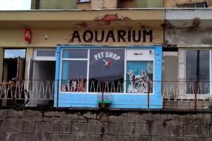 Aquarium