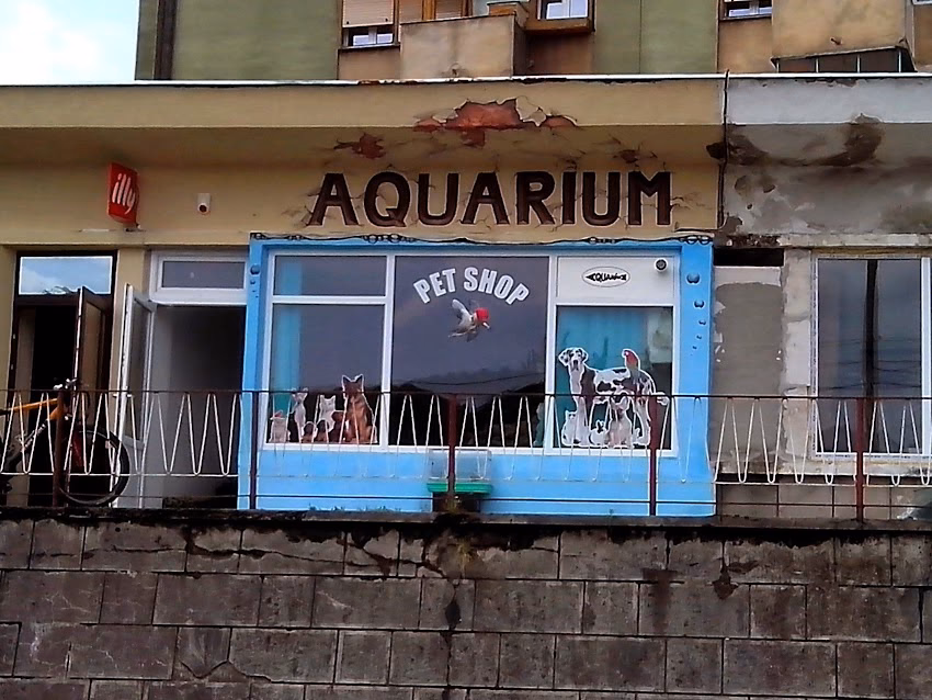 Aquarium