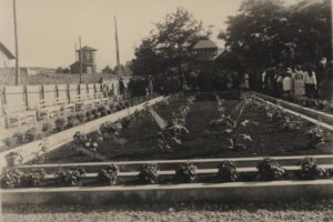 Arhiva cu Fotografii de Epocă Moinești