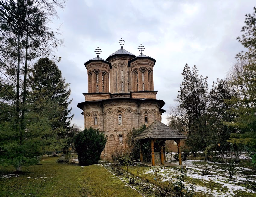 Aria Naturală Protejată Pădurea Snagov