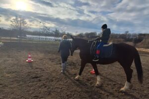 Art equest Echitație