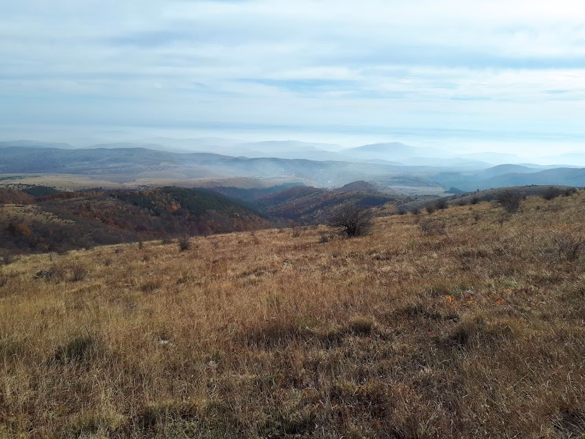Asa Cons România