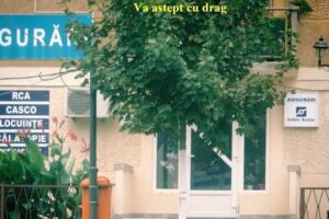 Asigurari Safety Broker Sa Agentia Sannicolau Mare