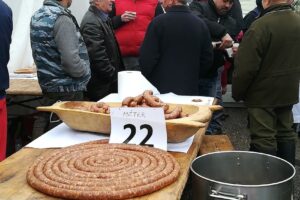 Asociatia Agricola Agrofieni Sa Foieni