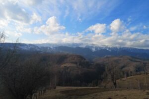 Asociatia Om pe Munte