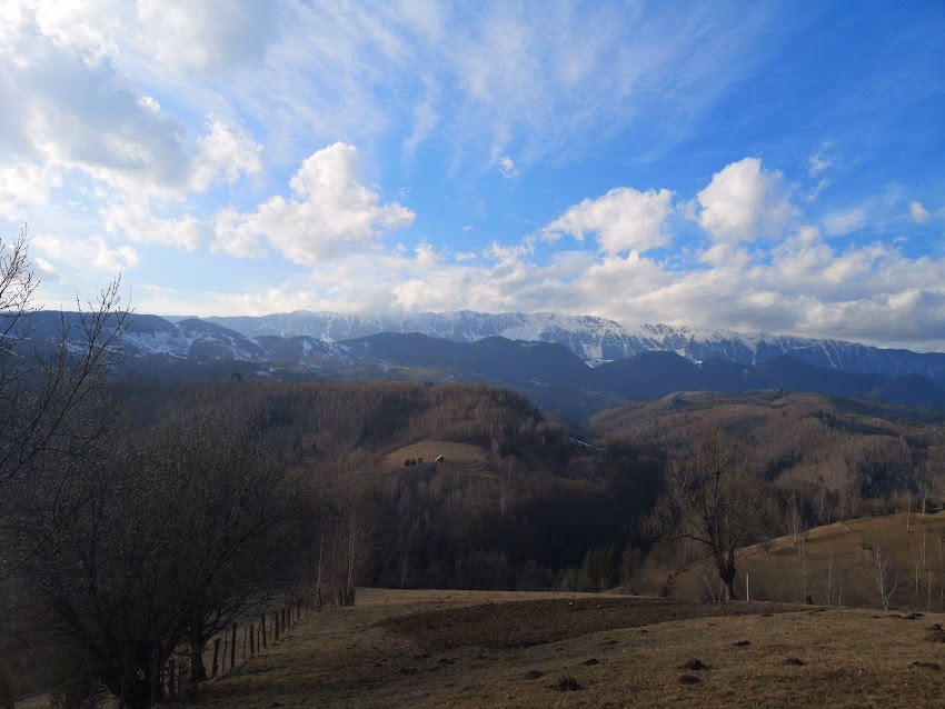 Asociatia Om pe Munte