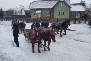 Asociatia pro Nicolesti Ciuc Csie