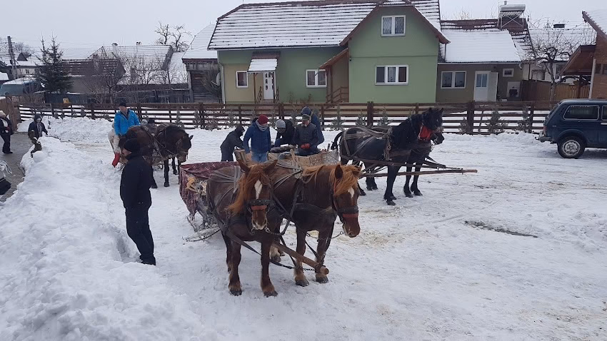 Asociatia pro Nicolesti Ciuc Csie