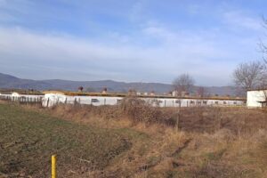 Avicola MerisaniBaiculesti