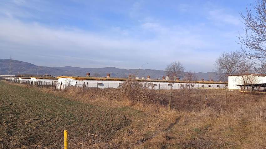 Avicola MerisaniBaiculesti