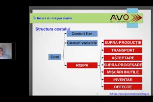 Avo Lean Consulting
