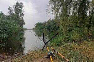 Avps Iași Cotu Morii