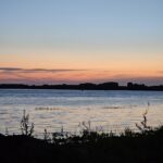 Bac Tudor Vladimirescu Tulcea