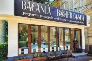 Bacania Boiereasca