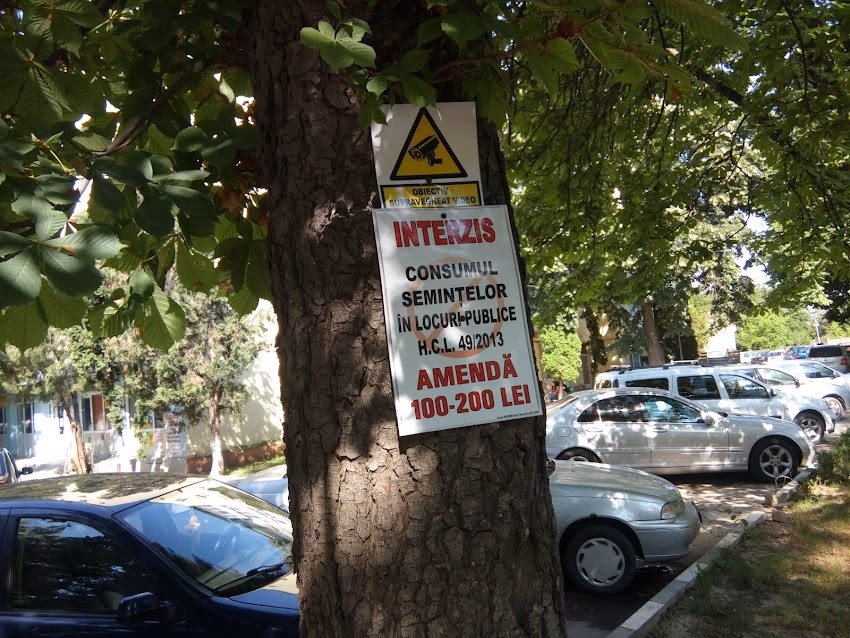 Băceşti