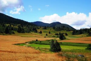 Băile Nádas Nádasfürdő