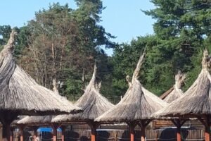 Băile sărate Ideciu de Jos