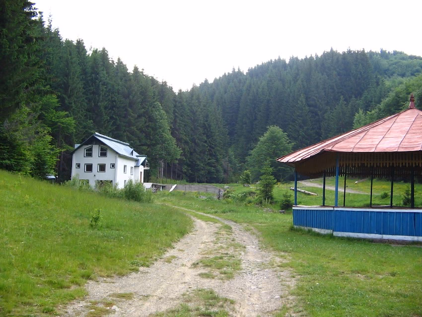 Băiuț