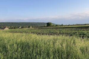 Bălcești Gorj România