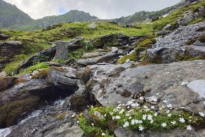 Bâlea Lac Telecabină