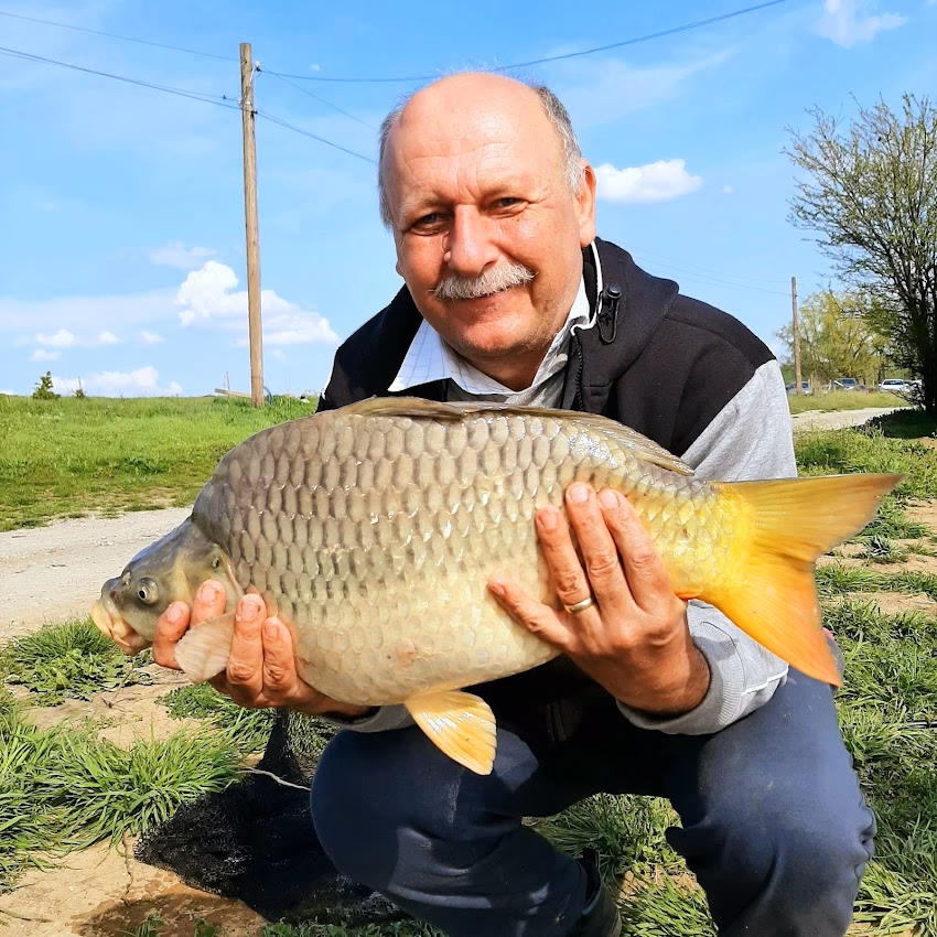 Balta Greaca Cercani