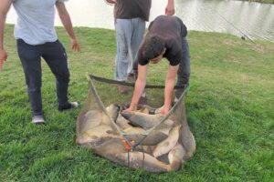 Balta pescuit Șoșdea