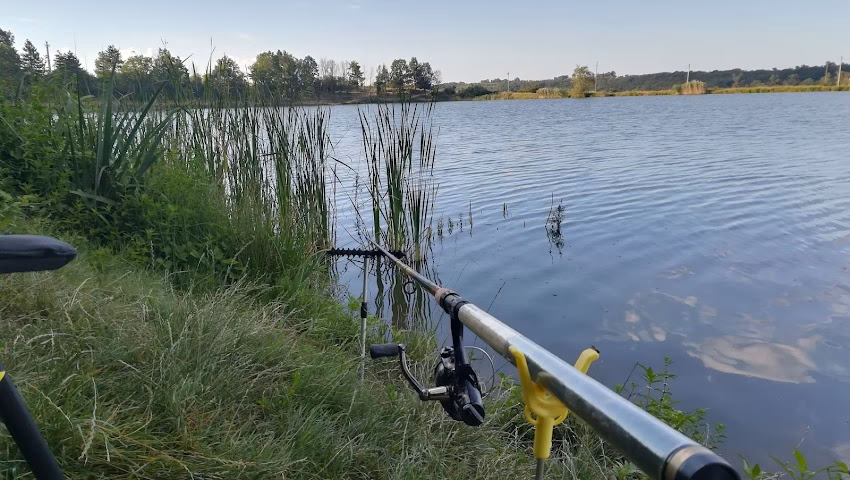 Balta Spineni