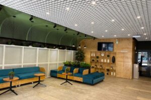 Banu Antonache Offices