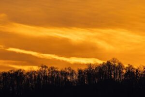 Belvedere Poiana Vărbilău