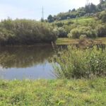 Belvedere Somesul Rece