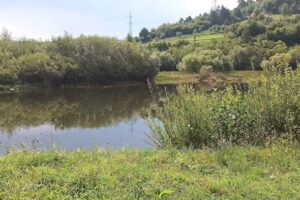 Belvedere Somesul Rece