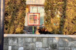 Biblioteca Municipală Constantin Istrati Câmpina